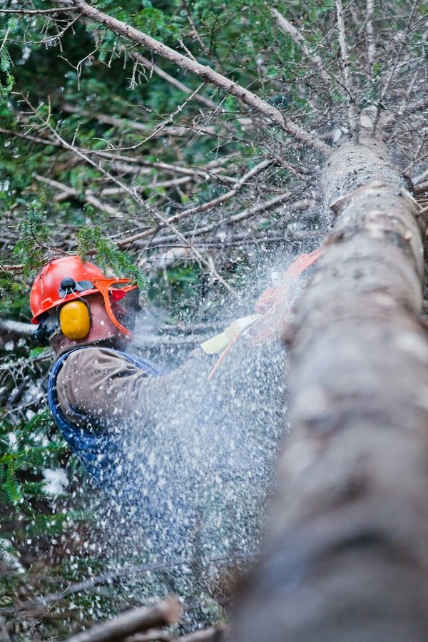 Treuil forestier : conseils de sécurité pendant son utilisation