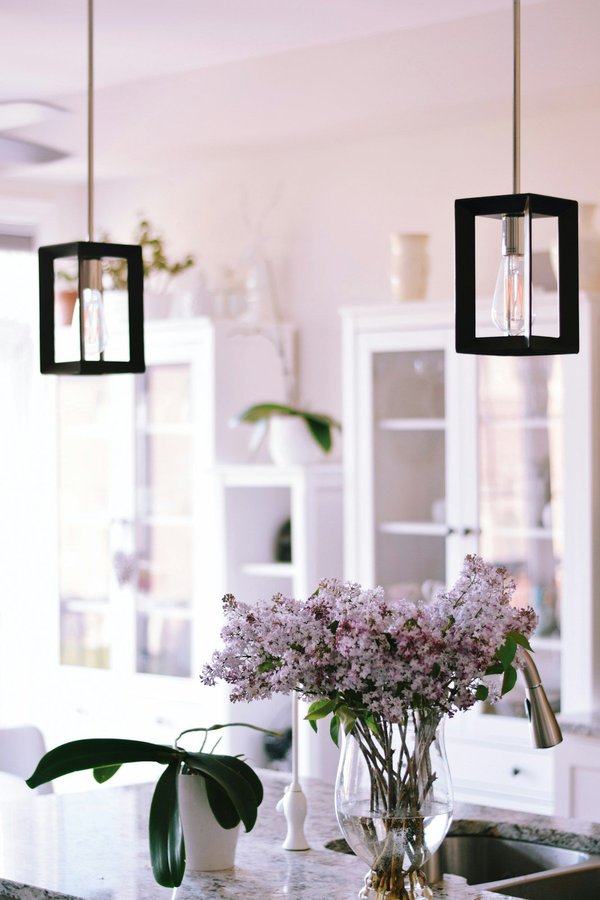 Découvrez les secrets de la suspension araignée