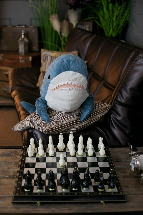 Pourquoi choisir une grosse peluche pour votre enfant ?